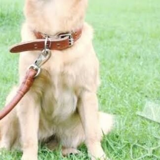 Test collar