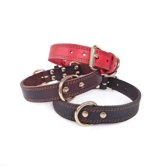 Leather Dog Collar